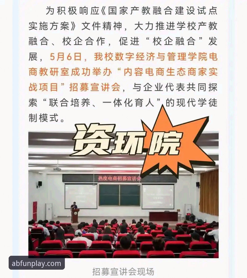 AB娱乐入口找必备指南，实战经验分享直达官网
